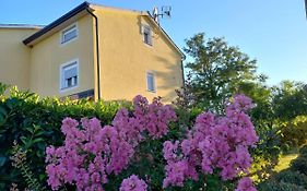 Apartment Lavanda